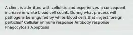 A client is admitted with cellulitis and experiences a consequent increase in white blood cell count. During what process will pathogens be engulfed by white blood cells that ingest foreign particles? Cellular immune response Antibody response Phagocytosis Apoptosis