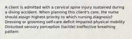 A client is admitted with a cervical spine injury sustained during a diving accident. When planning this client's care, the nurse should assign highest priority to which nursing diagnosis? Dressing or grooming self-care deficit Impaired physical mobility Disturbed sensory perception (tactile) Ineffective breathing pattern