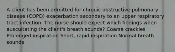 A client has been admitted for chronic obstructive pulmonary disease (COPD) exacerbation secondary to an upper respiratory tract infection. The nurse should expect which findings when auscultating the client's breath sounds? Coarse crackles Prolonged inspiration Short, rapid inspiration Normal breath sounds