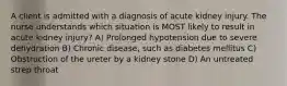 A client is admitted with a diagnosis of acute kidney injury. The nurse understands which situation is MOST likely to result in acute kidney injury? A) Prolonged hypotension due to severe dehydration B) Chronic disease, such as diabetes mellitus C) Obstruction of the ureter by a kidney stone D) An untreated strep throat