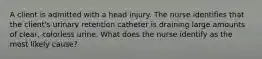 A client is admitted with a head injury. The nurse identifies that the client's urinary retention catheter is draining large amounts of clear, colorless urine. What does the nurse identify as the most likely cause?