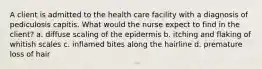 A client is admitted to the health care facility with a diagnosis of pediculosis capitis. What would the nurse expect to find in the client? a. diffuse scaling of the epidermis b. itching and flaking of whitish scales c. inflamed bites along the hairline d. premature loss of hair