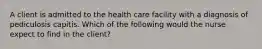 A client is admitted to the health care facility with a diagnosis of pediculosis capitis. Which of the following would the nurse expect to find in the client?