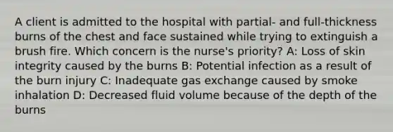 A client is admitted to the hospital with partial- and full-thickness burns of the chest and face sustained while trying to extinguish a brush fire. Which concern is the nurse's priority? A: Loss of skin integrity caused by the burns B: Potential infection as a result of the burn injury C: Inadequate gas exchange caused by smoke inhalation D: Decreased fluid volume because of the depth of the burns