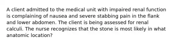 A client admitted to the medical unit with impaired renal function is complaining of nausea and severe stabbing pain in the flank and lower abdomen. The client is being assessed for renal calculi. The nurse recognizes that the stone is most likely in what anatomic location?