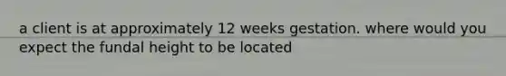 a client is at approximately 12 weeks gestation. where would you expect the fundal height to be located