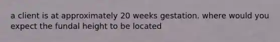 a client is at approximately 20 weeks gestation. where would you expect the fundal height to be located