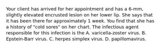 Your client has arrived for her appointment and has a 6-mm, slightly elevated encrusted lesion on her lower lip. She says that it has been there for approximately 1 week. You find that she has a history of "cold sores" on her chart. The infectious agent responsible for this infection is the A. varicella-zoster virus. B. Epstein-Barr virus. C. herpes simplex virus. D. papillomavirus.