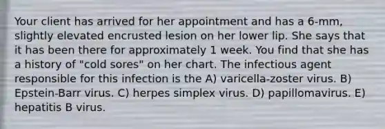 Your client has arrived for her appointment and has a 6-mm, slightly elevated encrusted lesion on her lower lip. She says that it has been there for approximately 1 week. You find that she has a history of "cold sores" on her chart. The infectious agent responsible for this infection is the A) varicella-zoster virus. B) Epstein-Barr virus. C) herpes simplex virus. D) papillomavirus. E) hepatitis B virus.