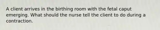 A client arrives in the birthing room with the fetal caput emerging. What should the nurse tell the client to do during a contraction.