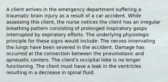 A client arrives in the emergency department suffering a traumatic brain injury as a result of a car accident. While assessing this client, the nurse notices the client has an irregular breathing pattern consisting of prolonged inspiratory gasps interrupted by expiratory efforts. The underlying physiologic principle for these signs would include: The nerves innervating the lungs have been severed in the accident. Damage has occurred at the connection between the pneumotaxic and apneustic centers. The client's occipital lobe is no longer functioning. The client must have a leak in the ventricles resulting in a decrease in spinal fluid.