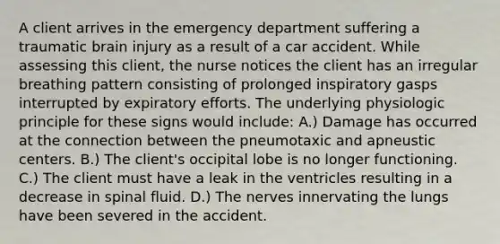 A client arrives in the emergency department suffering a traumatic brain injury as a result of a car accident. While assessing this client, the nurse notices the client has an irregular breathing pattern consisting of prolonged inspiratory gasps interrupted by expiratory efforts. The underlying physiologic principle for these signs would include: A.) Damage has occurred at the connection between the pneumotaxic and apneustic centers. B.) The client's occipital lobe is no longer functioning. C.) The client must have a leak in the ventricles resulting in a decrease in spinal fluid. D.) The nerves innervating the lungs have been severed in the accident.