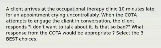 A client arrives at the occupational therapy clinic 10 minutes late for an appointment crying uncontrollably. When the COTA attempts to engage the client in conversation, the client responds "I don't want to talk about it. Is that so bad?" What response from the COTA would be appropriate ? Select the 3 BEST choices.