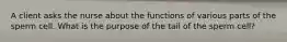 A client asks the nurse about the functions of various parts of the sperm cell. What is the purpose of the tail of the sperm cell?