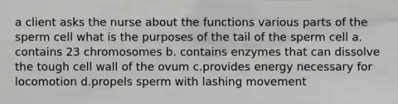 a client asks the nurse about the functions various parts of the sperm cell what is the purposes of the tail of the sperm cell a. contains 23 chromosomes b. contains enzymes that can dissolve the tough cell wall of the ovum c.provides energy necessary for locomotion d.propels sperm with lashing movement