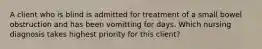 A client who is blind is admitted for treatment of a small bowel obstruction and has been vomitting for days. Which nursing diagnosis takes highest priority for this client?