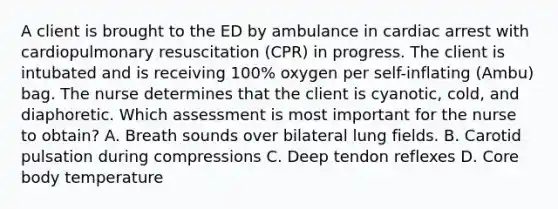 A client is brought to the ED by ambulance in cardiac arrest with cardiopulmonary resuscitation (CPR) in progress. The client is intubated and is receiving 100% oxygen per self-inflating (Ambu) bag. The nurse determines that the client is cyanotic, cold, and diaphoretic. Which assessment is most important for the nurse to obtain? A. Breath sounds over bilateral lung fields. B. Carotid pulsation during compressions C. Deep tendon reflexes D. Core body temperature