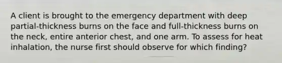 A client is brought to the emergency department with deep partial-thickness burns on the face and full-thickness burns on the neck, entire anterior chest, and one arm. To assess for heat inhalation, the nurse first should observe for which finding?