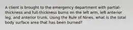 A client is brought to the emergency department with partial-thickness and full-thickness burns on the left arm, left anterior leg, and anterior trunk. Using the Rule of Nines, what is the total body surface area that has been burned?