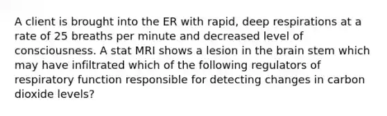 A client is brought into the ER with rapid, deep respirations at a rate of 25 breaths per minute and decreased level of consciousness. A stat MRI shows a lesion in the brain stem which may have infiltrated which of the following regulators of respiratory function responsible for detecting changes in carbon dioxide levels?