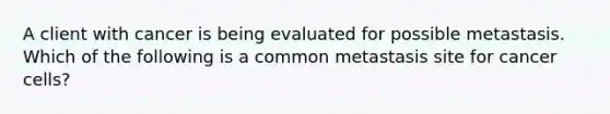 A client with cancer is being evaluated for possible metastasis. Which of the following is a common metastasis site for cancer cells?