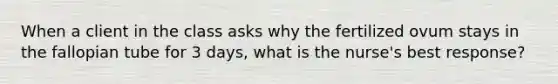 When a client in the class asks why the fertilized ovum stays in the fallopian tube for 3 days, what is the nurse's best response?