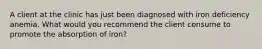 A client at the clinic has just been diagnosed with iron deficiency anemia. What would you recommend the client consume to promote the absorption of iron?