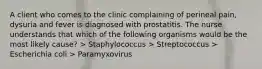 A client who comes to the clinic complaining of perineal pain, dysuria and fever is diagnosed with prostatitis. The nurse understands that which of the following organisms would be the most likely cause? > Staphylococcus > Streptococcus > Escherichia coli > Paramyxovirus