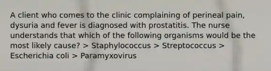 A client who comes to the clinic complaining of perineal pain, dysuria and fever is diagnosed with prostatitis. The nurse understands that which of the following organisms would be the most likely cause? > Staphylococcus > Streptococcus > Escherichia coli > Paramyxovirus