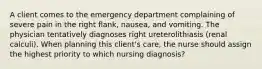 A client comes to the emergency department complaining of severe pain in the right flank, nausea, and vomiting. The physician tentatively diagnoses right ureterolithiasis (renal calculi). When planning this client's care, the nurse should assign the highest priority to which nursing diagnosis?