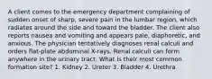 A client comes to the emergency department complaining of sudden onset of sharp, severe pain in the lumbar region, which radiates around the side and toward the bladder. The client also reports nausea and vomiting and appears pale, diaphoretic, and anxious. The physician tentatively diagnoses renal calculi and orders flat-plate abdominal X-rays. Renal calculi can form anywhere in the urinary tract. What is their most common formation site? 1. Kidney 2. Ureter 3. Bladder 4. Urethra