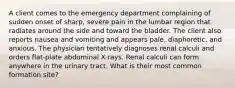 A client comes to the emergency department complaining of sudden onset of sharp, severe pain in the lumbar region that radiates around the side and toward the bladder. The client also reports nausea and vomiting and appears pale, diaphoretic, and anxious. The physician tentatively diagnoses renal calculi and orders flat-plate abdominal X-rays. Renal calculi can form anywhere in the urinary tract. What is their most common formation site?