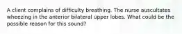 A client complains of difficulty breathing. The nurse auscultates wheezing in the anterior bilateral upper lobes. What could be the possible reason for this sound?