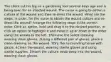 The client cut his leg on a gardening tool several days ago and is being seen for an infected wound. The nurse is going to obtain a culture of the wound and then re-dress the wound. What are the steps, in order, for the nurse to obtain the wound culture and re-dress the wound? Arrange the following steps in the correct order. Click an option, hold and drag it to the desired position, or click an option to highlight it and move it up or down in the order using the arrows to the left. 1Remove the soiled dressing wearing clean gloves. 2Using a different pair of gloves, place a clean dressing on the wound. 3Dry the surrounding tissue with gauze. 4Clean the wound, wearing sterile gloves and using sterile supplies. 5Insert the culture swab deep into the wound, wearing clean gloves.