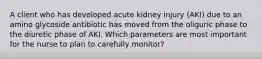 A client who has developed acute kidney injury (AKI) due to an amino glycoside antibiotic has moved from the oliguric phase to the diuretic phase of AKI. Which parameters are most important for the nurse to plan to carefully monitor?