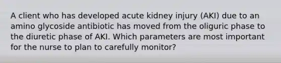 A client who has developed acute kidney injury (AKI) due to an amino glycoside antibiotic has moved from the oliguric phase to the diuretic phase of AKI. Which parameters are most important for the nurse to plan to carefully monitor?