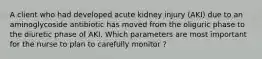 A client who had developed acute kidney injury (AKI) due to an aminoglycoside antibiotic has moved from the oliguric phase to the diuretic phase of AKI. Which parameters are most important for the nurse to plan to carefully monitor ?