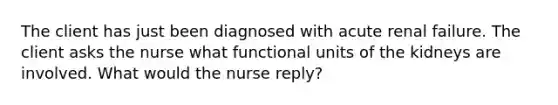 The client has just been diagnosed with acute renal failure. The client asks the nurse what functional units of the kidneys are involved. What would the nurse reply?