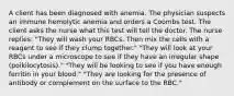 A client has been diagnosed with anemia. The physician suspects an immune hemolytic anemia and orders a Coombs test. The client asks the nurse what this test will tell the doctor. The nurse replies: "They will wash your RBCs. Then mix the cells with a reagent to see if they clump together." "They will look at your RBCs under a microscope to see if they have an irregular shape (poikilocytosis)." "They will be looking to see if you have enough ferritin in your blood." "They are looking for the presence of antibody or complement on the surface to the RBC."