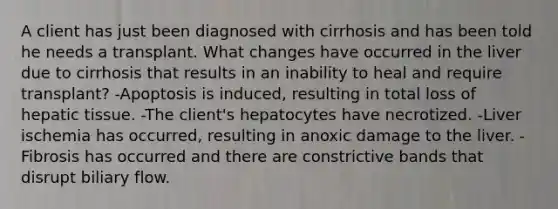 A client has just been diagnosed with cirrhosis and has been told he needs a transplant. What changes have occurred in the liver due to cirrhosis that results in an inability to heal and require transplant? -Apoptosis is induced, resulting in total loss of hepatic tissue. -The client's hepatocytes have necrotized. -Liver ischemia has occurred, resulting in anoxic damage to the liver. -Fibrosis has occurred and there are constrictive bands that disrupt biliary flow.