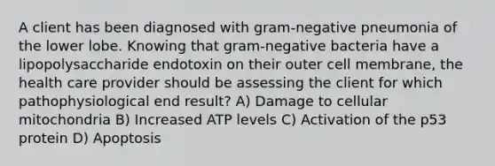 A client has been diagnosed with gram-negative pneumonia of the lower lobe. Knowing that gram-negative bacteria have a lipopolysaccharide endotoxin on their outer cell membrane, the health care provider should be assessing the client for which pathophysiological end result? A) Damage to cellular mitochondria B) Increased ATP levels C) Activation of the p53 protein D) Apoptosis