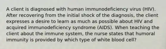 A client is diagnosed with human immunodeficiency virus (HIV). After recovering from the initial shock of the diagnosis, the client expresses a desire to learn as much as possible about HIV and acquired immunodeficiency syndrome (AIDS). When teaching the client about the immune system, the nurse states that humoral immunity is provided by which type of white blood cell?