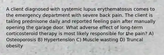 A client diagnosed with systemic lupus erythematosus comes to the emergency department with severe back pain. The client is taking prednisone daily and reported feeling pain after manually opening the garage door. What adverse effect of long-term corticosteroid therapy is most likely responsible for the pain? A) Osteoporosis B) Hypertension C) Muscle wasting D) Truncal obesity