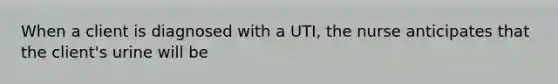 When a client is diagnosed with a UTI, the nurse anticipates that the client's urine will be