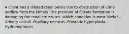 A client has a dilated renal pelvis due to obstruction of urine outflow from the kidney. The pressure of filtrate formation is damaging the renal structures. Which condition is most likely? -Urinary calculi -Papillary necrosis -Prostatic hyperplasia -Hydronephrosis