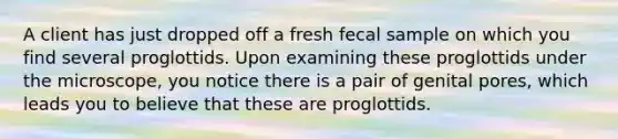 A client has just dropped off a fresh fecal sample on which you find several proglottids. Upon examining these proglottids under the microscope, you notice there is a pair of genital pores, which leads you to believe that these are proglottids.