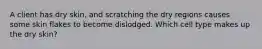 A client has dry skin, and scratching the dry regions causes some skin flakes to become dislodged. Which cell type makes up the dry skin?