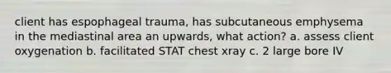 client has espophageal trauma, has subcutaneous emphysema in the mediastinal area an upwards, what action? a. assess client oxygenation b. facilitated STAT chest xray c. 2 large bore IV