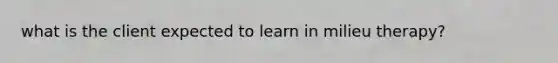 what is the client expected to learn in milieu therapy?