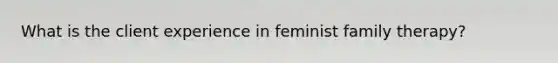 What is the client experience in feminist family therapy?